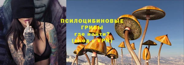 крисы Абаза